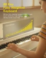 05 88键全加权电钢.webp