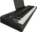 fp-40-bk_angle_2_music_rest_gal_11zon.webp