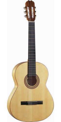 Admiraflamenco.webp