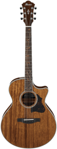 Gitara Elektroakustyczna - Ibanez AE245 NT