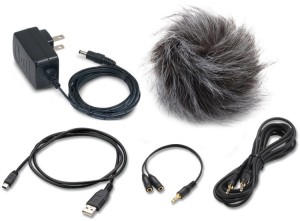 Zoom APH4nPro