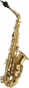 Saksofon Altowy - Trevor James 374SR KK