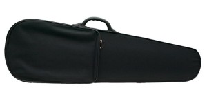 Petz 4105 VA 15,5"