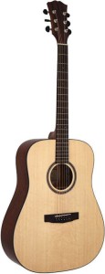 Gitara Akustyczna - Raven D 01