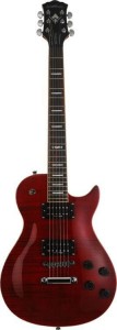 Gitara Elektryczna - Washburn WIN PRO FTR