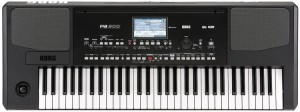 Keyboard - Korg PA 300 PL