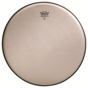 Remo 10" Ambassador Renaissance