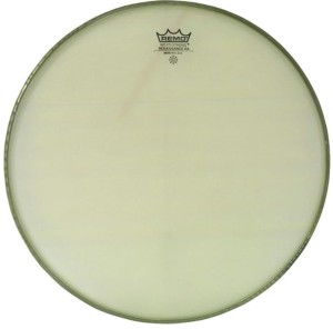 Remo 12" Ambassador Renaissance