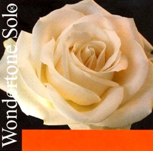  Struna Do Skrzypiec - Pirastro Wondertone Solo Violin G 4/4 Synth/Silver P410421