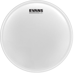 Evans 14" UV1 Coated