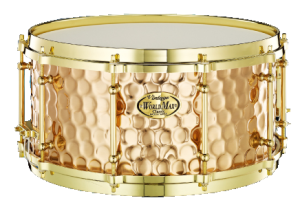 World Max BZH6514DHBR