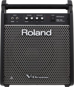 Roland PM 100