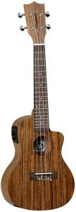 Ukulele - Tanglewood TWT12-E
