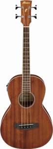 Gitara Basowa Akustyczna - Ibanez PNB14E OPN