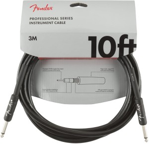 Fender FG10 10" Professional