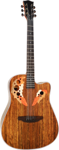 Gitara Akustyczna - Sqoe SQ PS