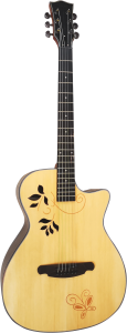 Gitara Akustyczna - Sqoe SQ IS