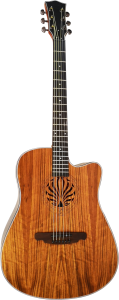 Gitara Akustyczna - Sqoe SQ N