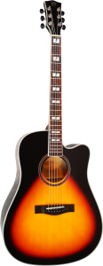 Gitara Akustyczna - Chard ED29SB