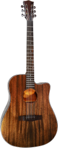 Gitara Akustyczna - Sqoe SQ AC FG