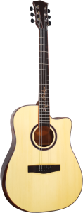 Gitara Akustyczna - Sqoe SQ BC SK