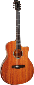 Gitara Akustyczna - Sqoe S360T SK