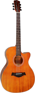Gitara Akustyczna - Chard F4030C