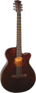 Gitara Akustyczna - Sqoe SQ EC FG