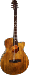 Gitara Akustyczna - Sqoe SQ H FG
