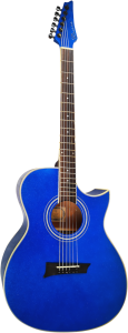 Gitara Akustyczna - Chard EA36BL