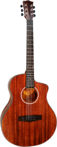 Gitara Akustyczna - Sqoe SQ 39A
