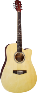 Gitara Akustyczna - Chard ED10N