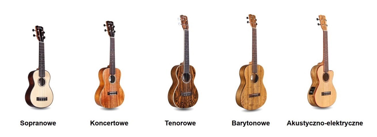 Ukulele to niewielki instrument strunowy. Dla początkujących i profesjonalnych muzyków. Ale jakie ukulele wybrać? Ukulele to niewielki instrument strunowy. Dla początkujących i profesjonalnych muzyków. Ale jakie ukulele wybrać?